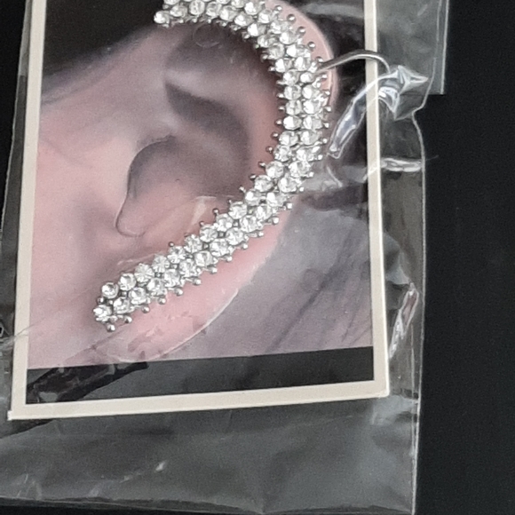 Ladies earrings